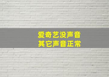 爱奇艺没声音 其它声音正常